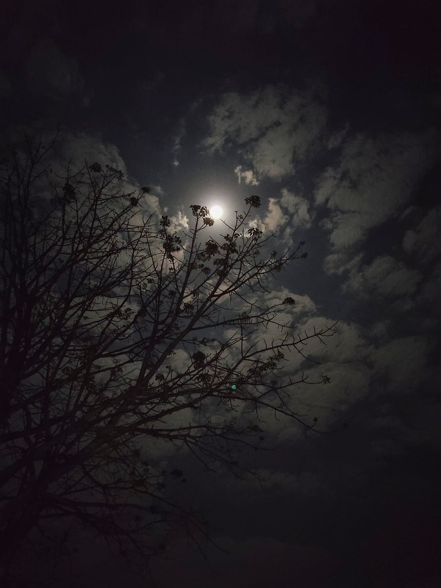 Full moon glowing through dark clouds above a silhouetted bare tree at night HD phone wallpaper