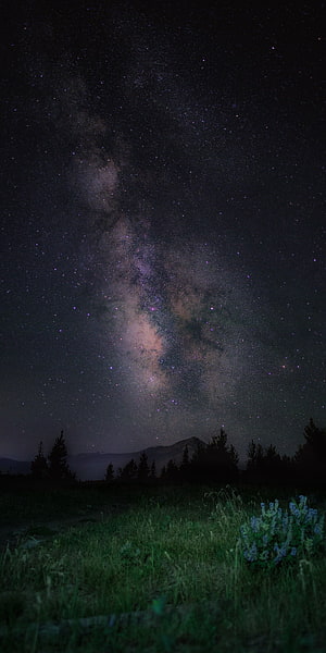 Milky Way Galaxy Arching Over Mountain Silhouette and Alpine Meadow at Night HD phone wallpaper