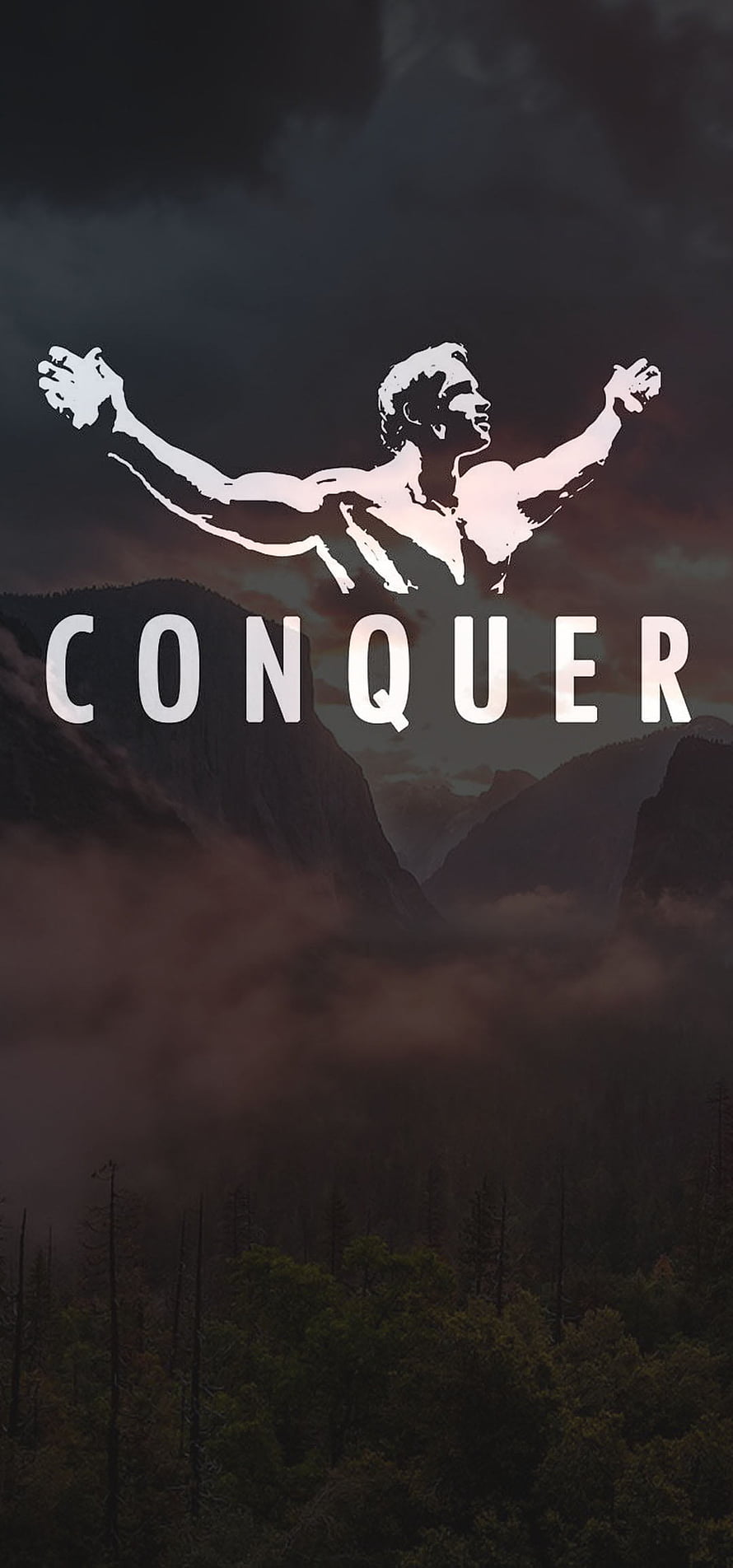 Arnold Schwarzenegger Victory Silhouette Over Misty Mountain Valley HD phone wallpaper