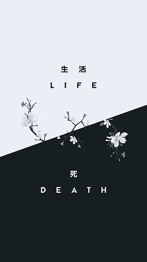 Minimalist Life and Death Quote Wallpaper with Cherry Blossoms HD phone wallpaper