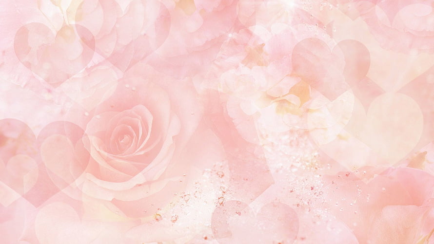 Soft Pastel Pink Rose and Heart Floral Background with Dreamy Bokeh and Sparkling Light HD wallpaper