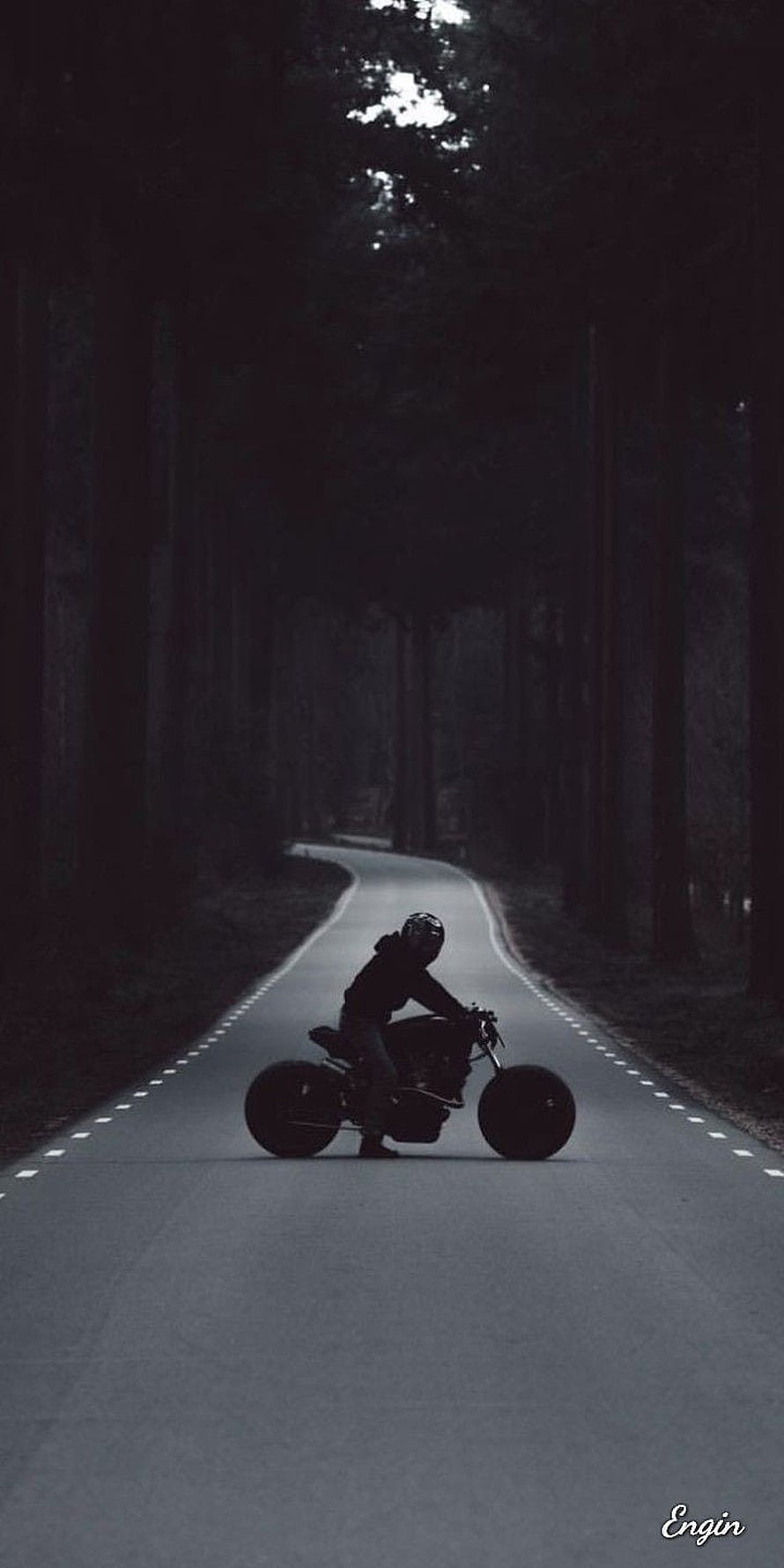 Silhouetted Rider on a Custom Motorcycle Cruising a Winding Forest Road at Dusk HD phone wallpaper