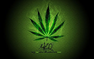 Glowing Cannabis Leaf with 420 Text on Dark Green Background HD wallpaper