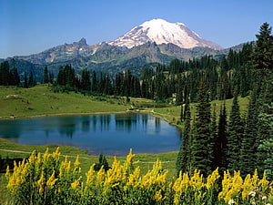 Snow-Capped Volcano Rising Over a Serene Alpine Lake and Evergreen Forest HD wallpaper