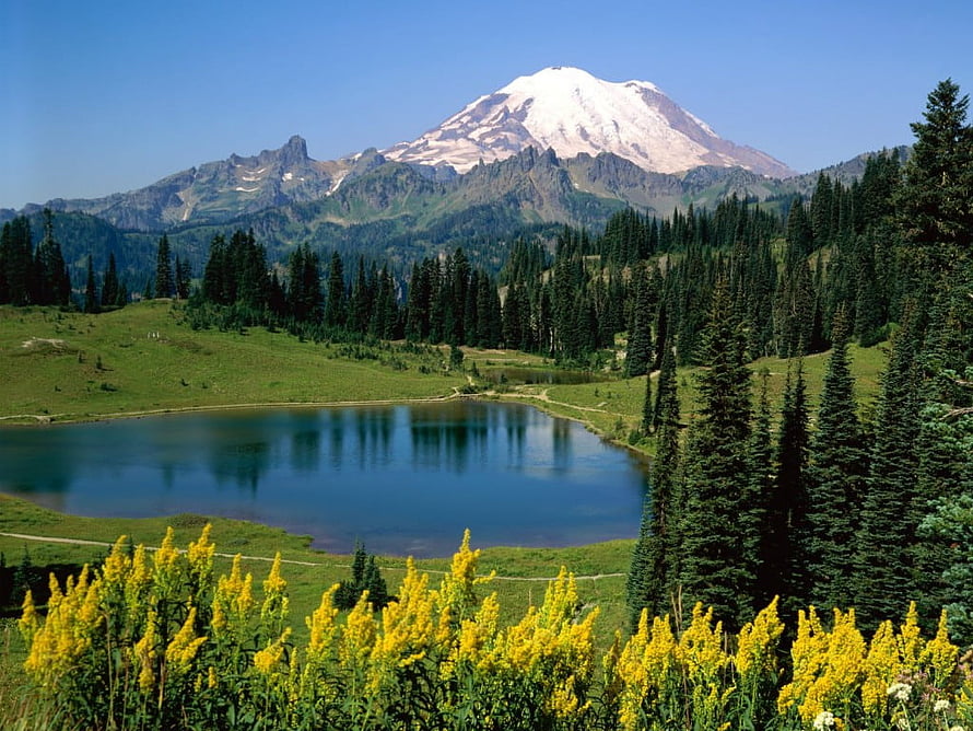 Snow-Capped Volcano Rising Over a Serene Alpine Lake and Evergreen Forest HD wallpaper
