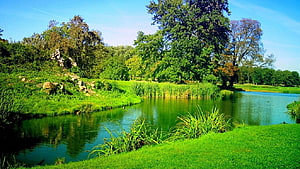 Serene Park Pond Surrounded by Lush Greenery and Tall Trees Under a Clear Blue Sky HD wallpaper