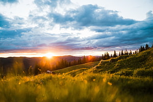 Golden sunrise over rolling green meadows with distant mountain ridges and scattered pine trees HD wallpaper