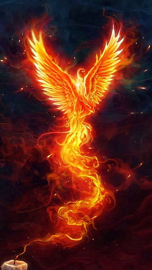 Fiery Phoenix Rising From Flames Against Dark Background Fantasy Art HD phone wallpaper