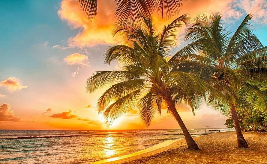 Tropical beach sunset with leaning palm trees and golden ocean waves HD wallpaper