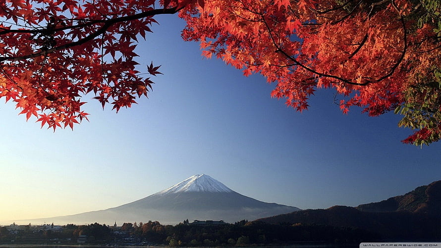 Mount Fuji framed by vibrant red autumn maple leaves under a clear blue sky HD wallpaper