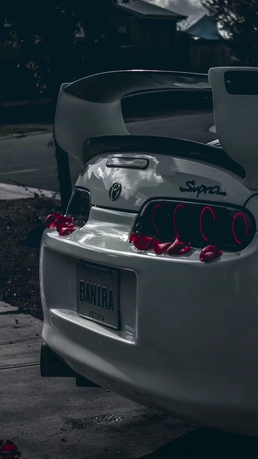 White Toyota Supra MK4 Rear View with Rose Petals and Victoria License Plate HD phone wallpaper
