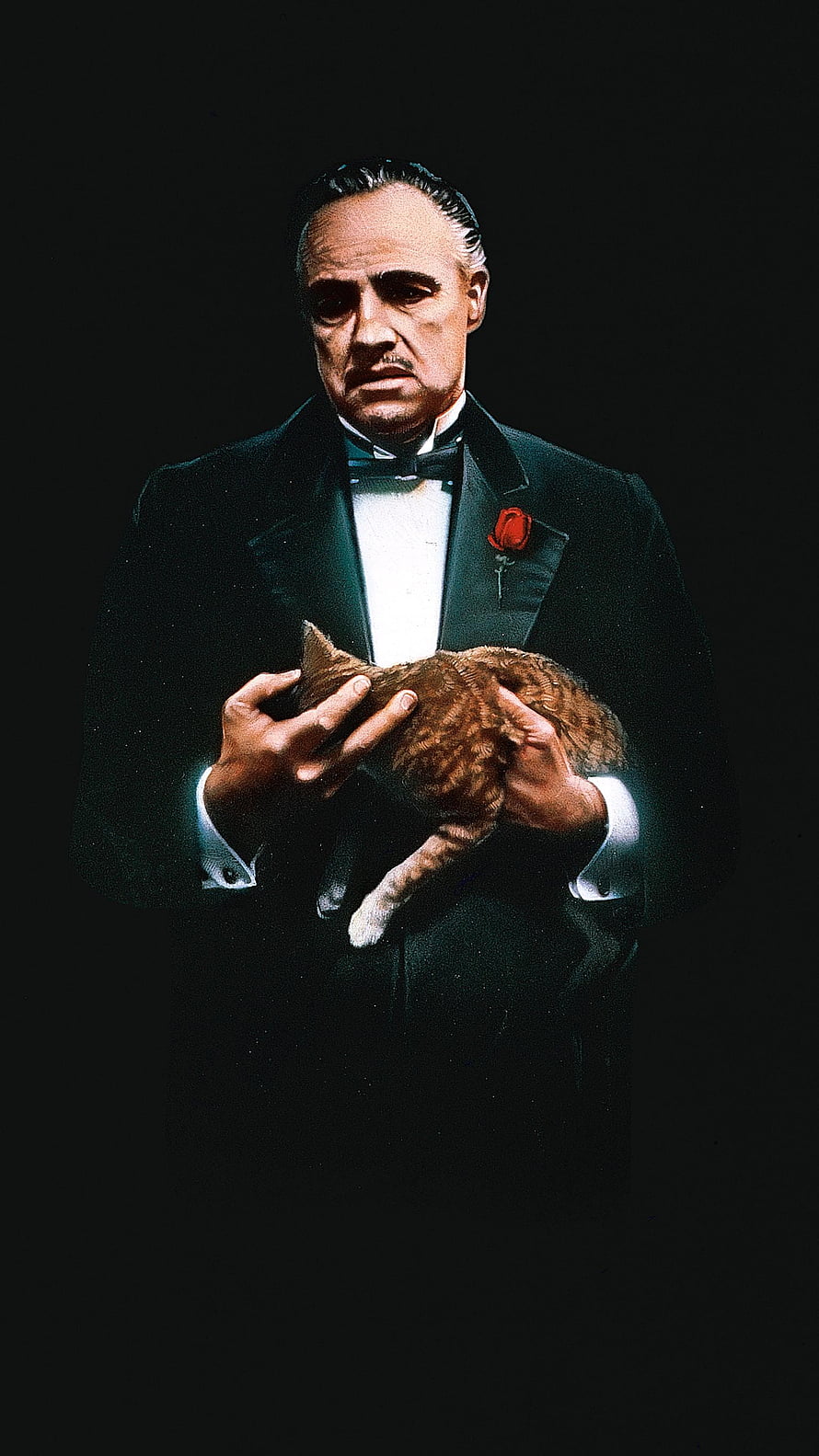 The Godfather Movie Poster Featuring Marlon Brando Holding a Cat in a Tuxedo HD phone wallpaper