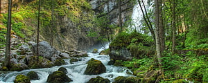 Mossy River Stream Flowing Through Lush Forest with Waterfall HD wallpaper