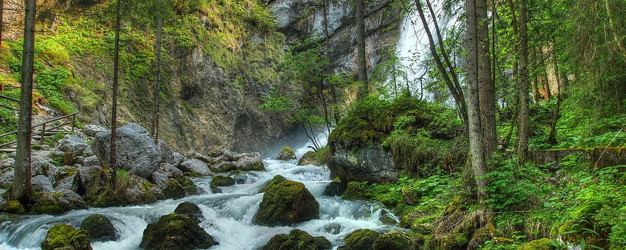 Mossy River Stream Flowing Through Lush Forest with Waterfall HD wallpaper