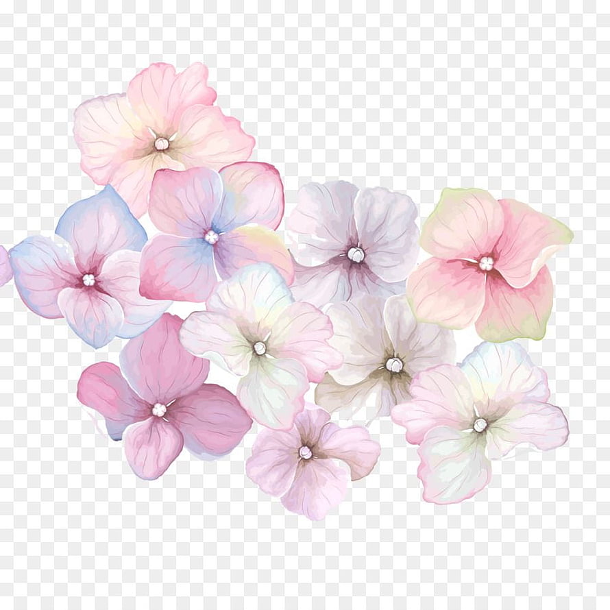 Pastel Watercolor Flower Cluster with Soft Pink and Blue Petals on Transparent Background HD phone wallpaper