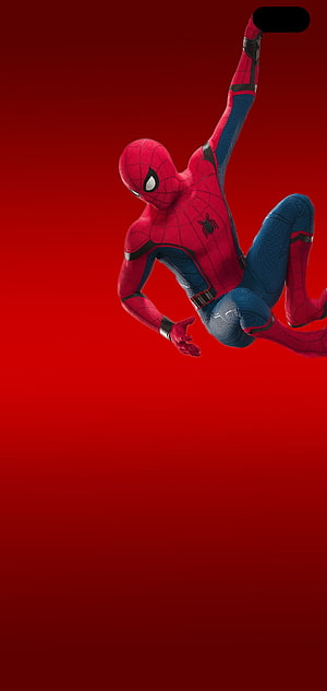 Spider-Man in dynamic swinging pose on a bold red background, Best Samsung Galaxy S10 Plus/ S10 to hide Camera HD phone wallpaper