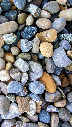 Multicolored Smooth River Pebbles and Stones Close-Up Texture HD phone wallpaper