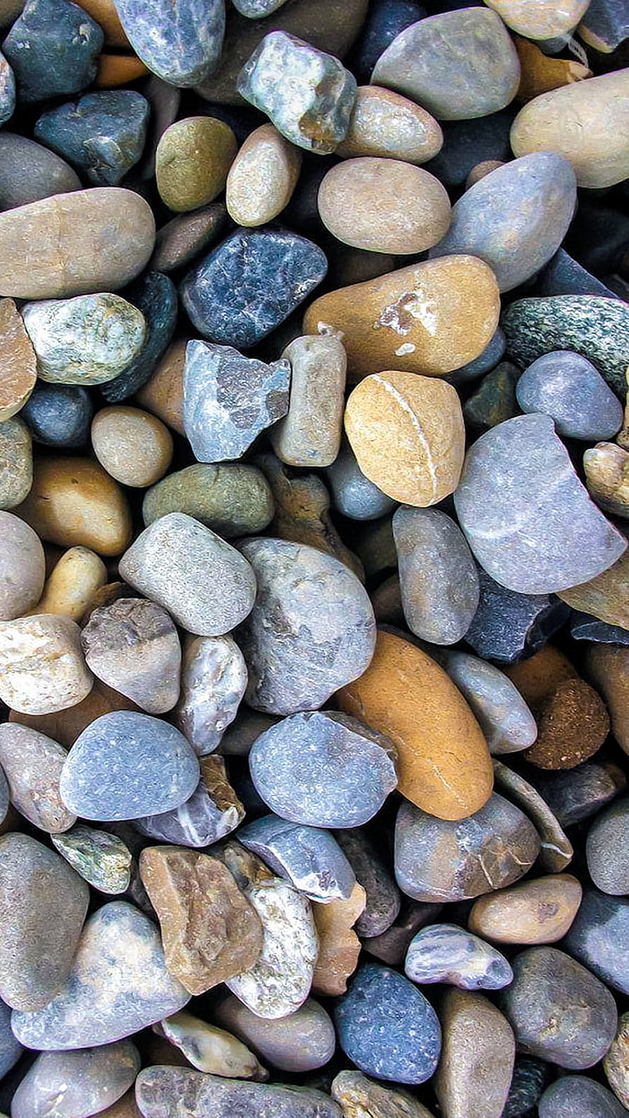 Multicolored Smooth River Pebbles and Stones Close-Up Texture HD phone wallpaper