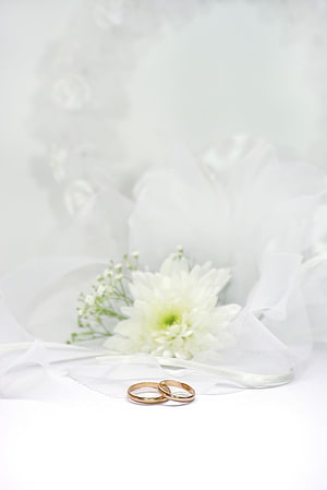 Elegant Gold Wedding Bands Resting on White Fabric with Soft Floral Accents HD phone wallpaper