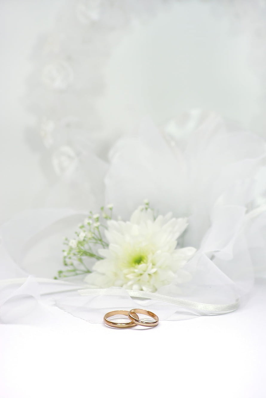 Elegant Gold Wedding Bands Resting on White Fabric with Soft Floral Accents HD phone wallpaper