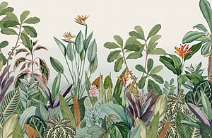 Vintage Botanical Illustration of Tropical Jungle Flora and Bird of Paradise Flowers HD wallpaper