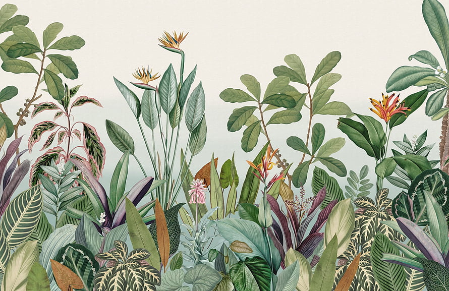 Vintage Botanical Illustration of Tropical Jungle Flora and Bird of Paradise Flowers HD wallpaper