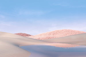 Surreal Pink Forest Dunes and Reflective Water Under a Clear Blue Sky HD wallpaper