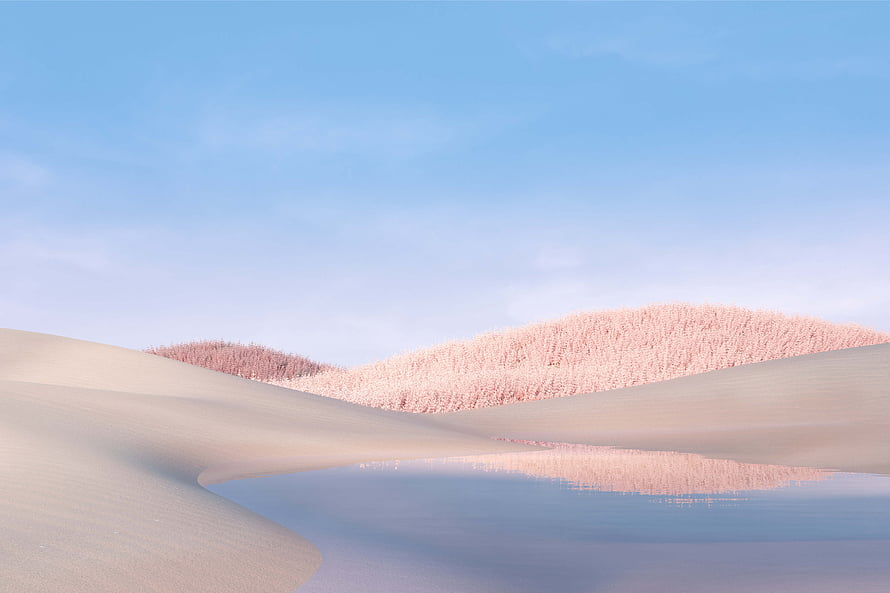 Surreal Pink Forest Dunes and Reflective Water Under a Clear Blue Sky HD wallpaper