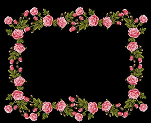 Delicate Pink Rose Floral Border Frame with Green Leaves on Black Background HD wallpaper
