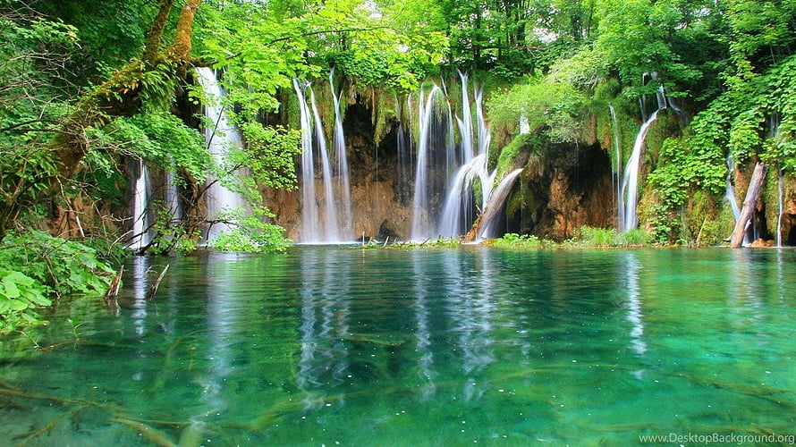 Emerald Waterfall Pool in Lush Tropical Jungle with Turquoise Water HD wallpaper