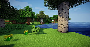Minecraft Birch Forest Landscape with Water and Dandelions HD wallpaper