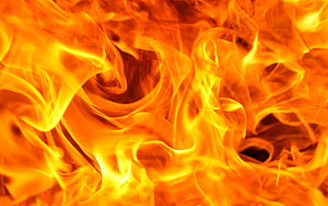 Vibrant Orange Fire Flames Close-Up Texture Background HD wallpaper
