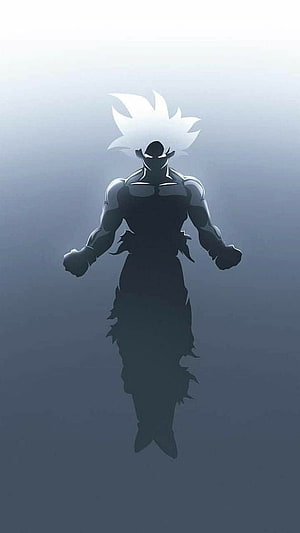 Epic Dragon Ball Z Goku Silhouette with White Hair and Dark Aura HD phone wallpaper