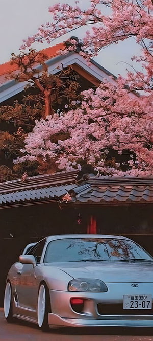 Silver Toyota Supra MK4 Parked Beneath Blooming Cherry Blossoms at a Traditional Japanese Temple HD phone wallpaper