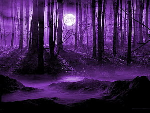 Mystical Dark Purple Forest with Full Moon and Misty Stream HD wallpaper