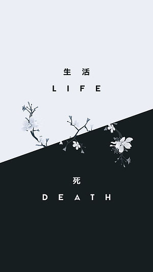 Minimalist Black and White Life and Death Concept with Cherry Blossom Branches HD phone wallpaper