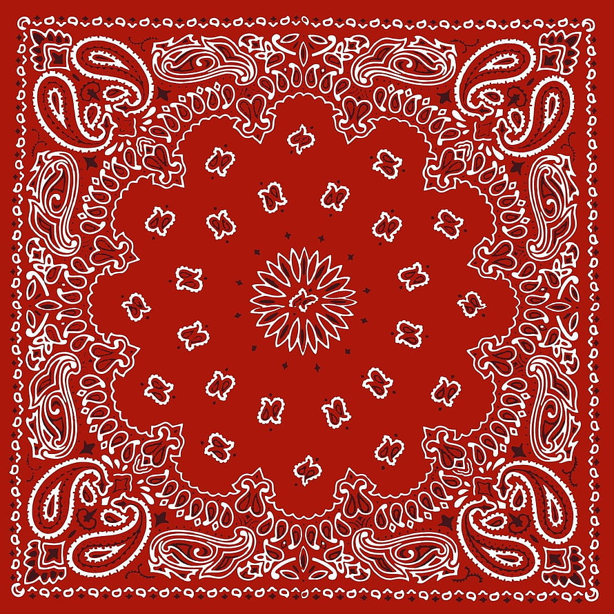 Classic Red and White Paisley Bandana Pattern with Central Floral Motif HD phone wallpaper