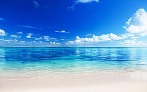 Serene Tropical Shoreline With Turquoise Water And White Sand Under A Bright Blue Sky HD wallpaper