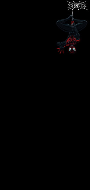 Miles Morales Spider-Man Hanging Upside Down on Web Against Black Background HD phone wallpaper
