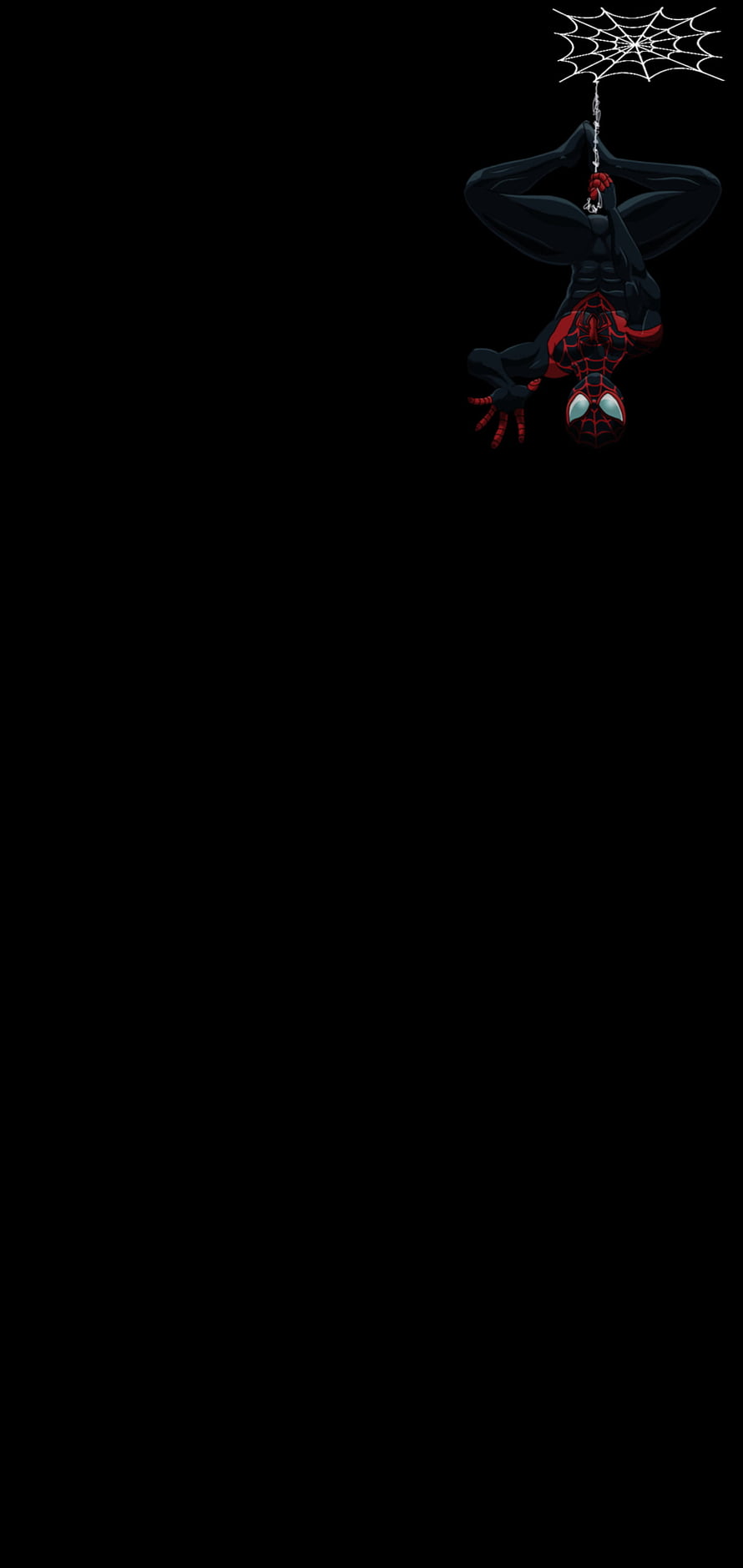 Miles Morales Spider-Man Hanging Upside Down on Web Against Black Background HD phone wallpaper