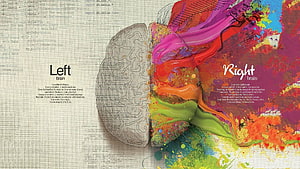 Left Brain Right Brain Concept Art: Logic and Creativity Split HD wallpaper
