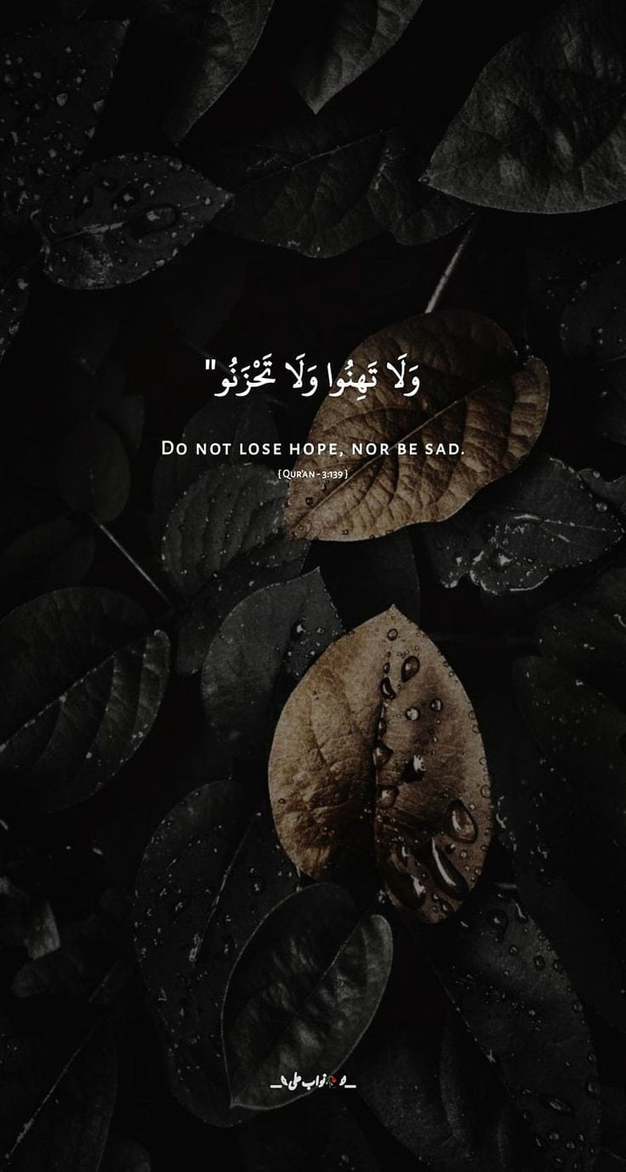 Dark Rainy Leaves With Islamic Quran Verse 3:139 Motivational Quote HD phone wallpaper