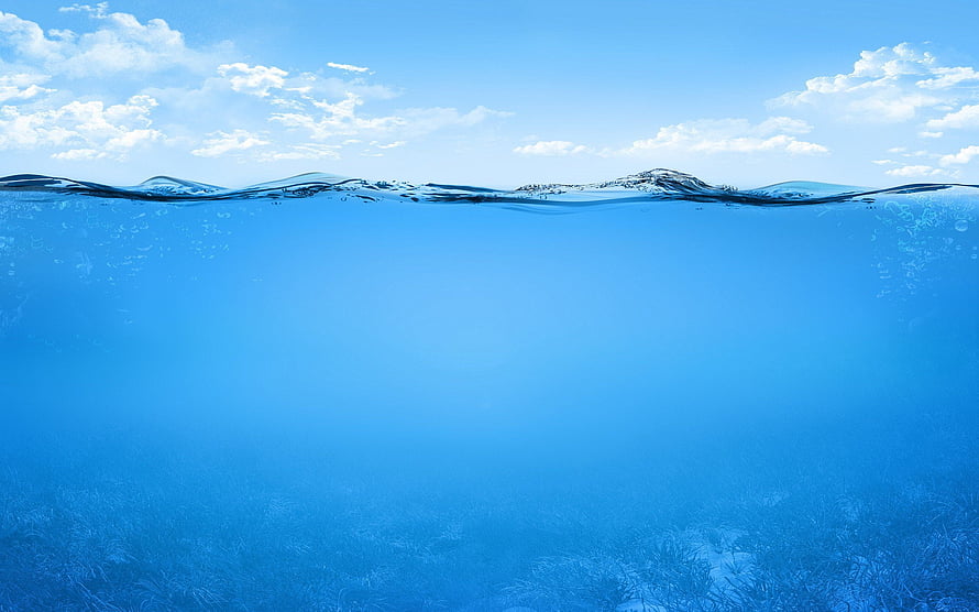 Split Level Ocean View With Underwater Seagrass And Sunny Sky HD wallpaper