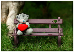 Cute Grey Teddy Bear Holding Red Heart on Purple Park Bench in Green Grass HD wallpaper
