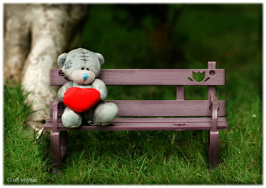 Cute Grey Teddy Bear Holding Red Heart on Purple Park Bench in Green Grass HD wallpaper