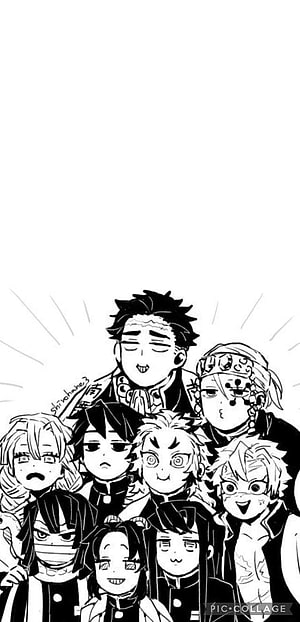 Demon Slayer Black and White Anime Group Portrait Illustration HD phone wallpaper