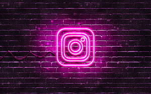 Instagram Neon Logo Glowing on Dark Brick Wall HD wallpaper