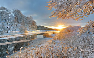Golden Winter Sunrise Over a Frozen River and Snow-Laden Trees HD wallpaper