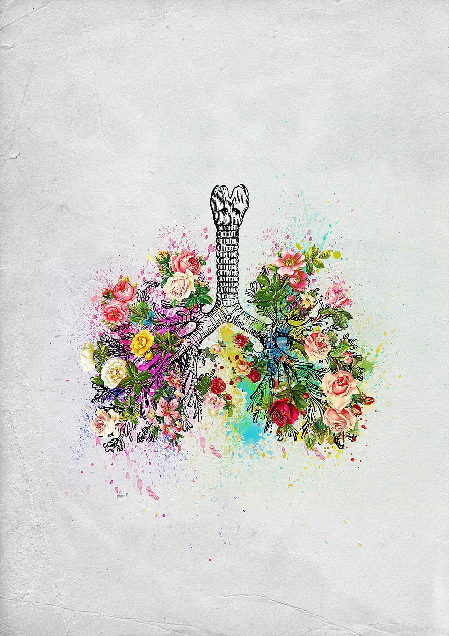 Floral Lungs Anatomy Illustration with Watercolor Splashes and Botanical Elements HD phone wallpaper