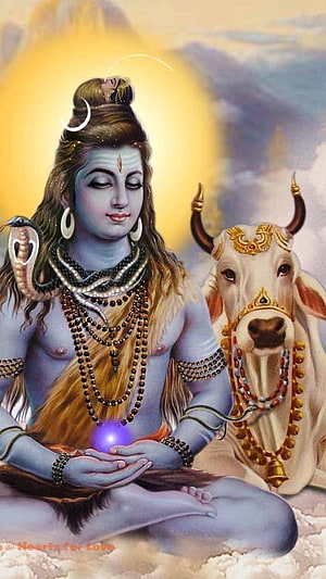 Lord Shiva Meditating in Lotus Pose with Nandi the Sacred Bull HD phone wallpaper